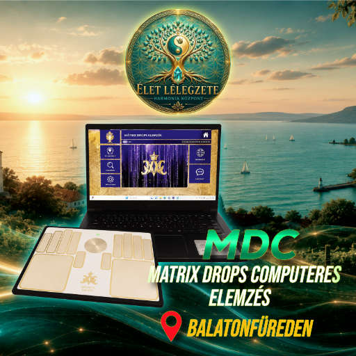 mdc állapotfelmeres